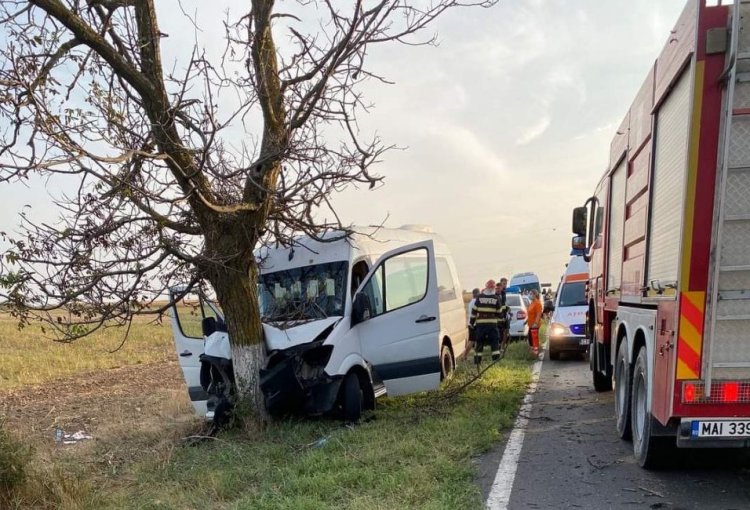 Un microbuz a intrat în copac, la ieșire din Murfatlar. Două minore au ajuns la spital